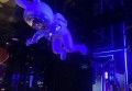动画导演招聘文案（诚聘创意动画大师：引领视觉盛宴的导演职位）